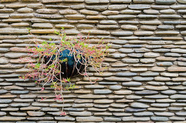 Naklejka premium stone wall with Rosemoss flower pot on it