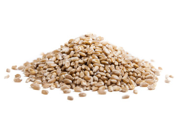 Organic wheat isolated on white background