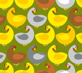 Chicken seamless pattern. Chicken farm. Many colored birds. Vect