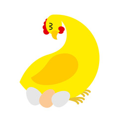 Chicken sitting on eggs. Farm bird nests baby birds. Chicken hen