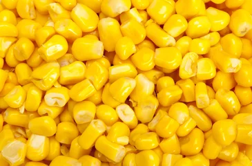 Fotobehang Bulk of corn grains © jcfotografo
