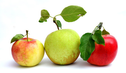 time for a diet, fresh harvested apples, 