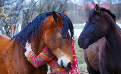 portrait woman and horse cuddling outdoors. 