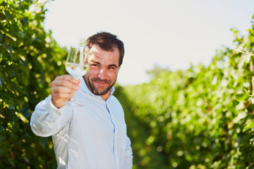 Winemaker tasting white wine in vineyard at sunny day.
