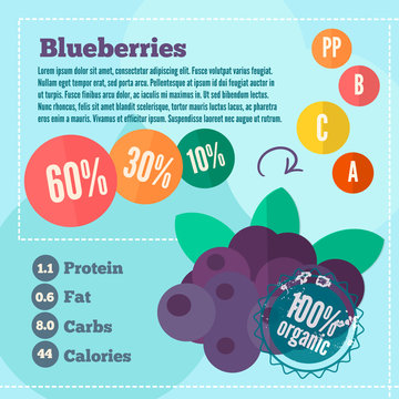 Blueberries and vitamins infographics in a flat style. Vector illustration EPS 10