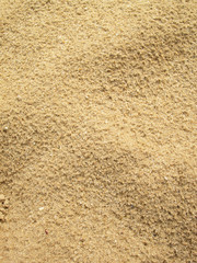 Sand Texture