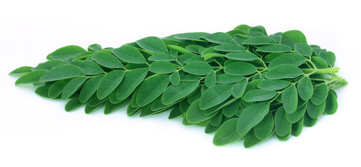 Edible moringa leaves