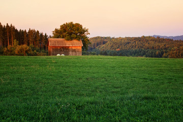 Obraz premium Sunrise Over Wooden House with Tree