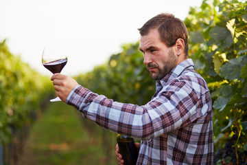 Winemaker in vineyard