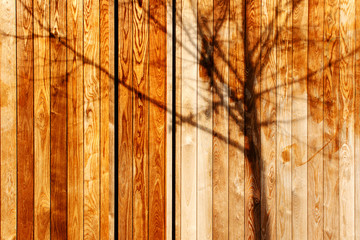 Tree shadow on wood brown texture background