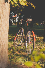 Retro Bicycle with vintage overlay