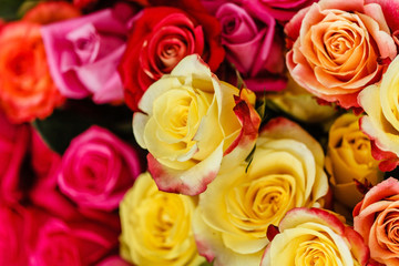 nice roses