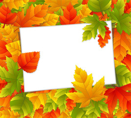 Herbstblaetter Haufen Schild Text Rechteck