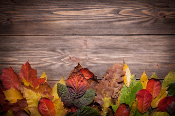 Wooden background with autumn leaves