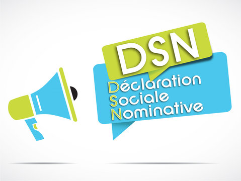 m&eacute;gaphone : DSN (D&eacute;claration Sociale Nominative) acronyme