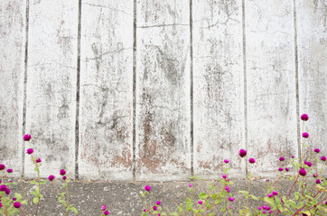 Obraz na płótnie Canvas grunge stone wall