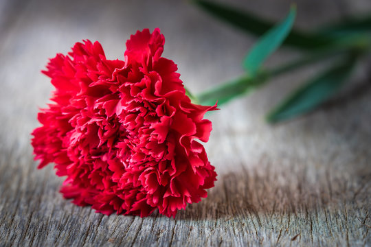 Red carnation flowers on wooden background.