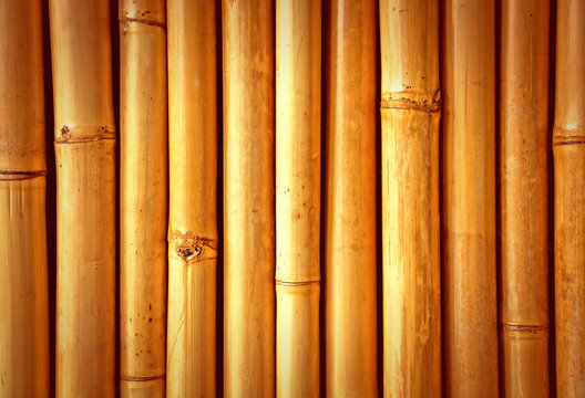 Bamboo close up, nice grunge texture