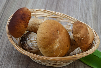 Wild Mushrooms