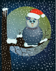 owl at night, merry christmas snow