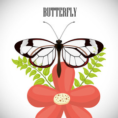 Butterfly design 
