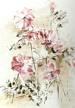 Stylized aquarelle drawing of Cosmos flowers