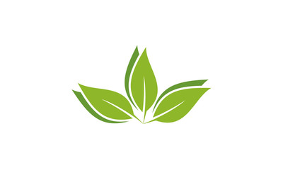 illustration logo from natural leaf or eco green logo design concept