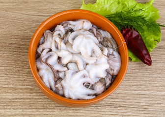 Raw baby octopus