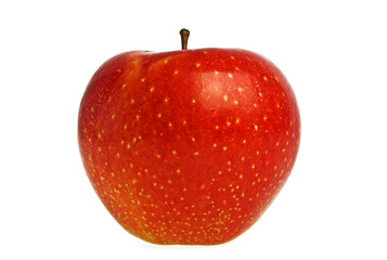 Red apple on a white background