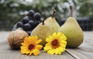 Obraz na płótnie Canvas autumn harvest of grapes walnuts and pears on wood 