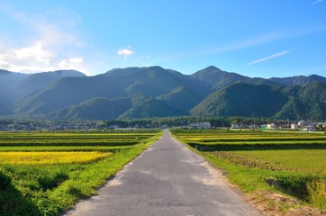 Naklejka premium 田園風景