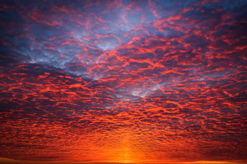 Fiery orange sunset sky. Beautiful sky.