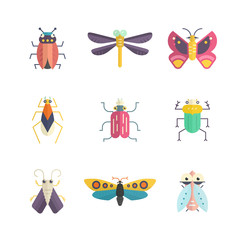 Colorful Bugs