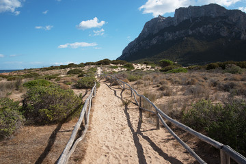 Path in Tavolara island, Sardinia.