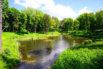 Fototapeta na wymiar Nature of Lithuania: Galves lake near Trakai