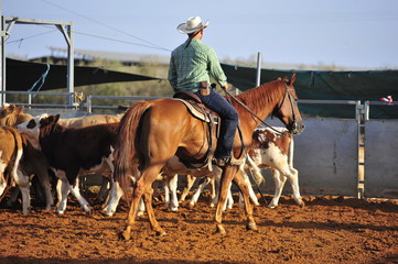 Man riding a horse