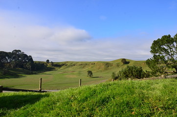 étendue herbacée de Nouvelle zélande 