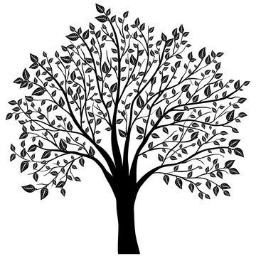 tree with leaves vector