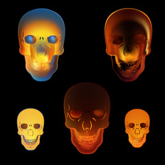 Image illustration fire skull on black background