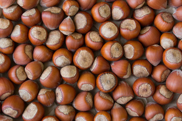 Hazelnuts