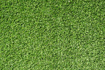 Obraz premium Green grass background texture