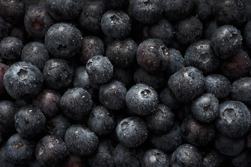 Wet Blueberries Close Up