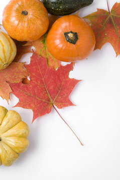 Thanksgiving Pumpkins and Autumn Leaves