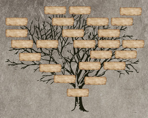 family tree