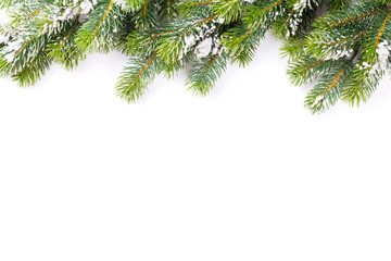 Christmas tree branch with snow