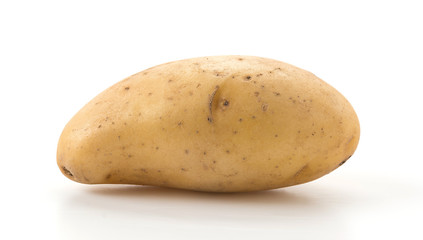 fresh potato on white background