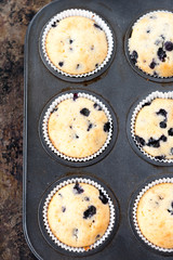 Blueberry muffins