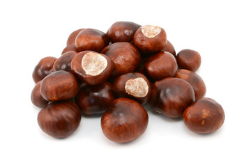 Shiny brown conkers