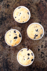 Blueberry muffins