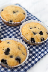 Blueberry muffins